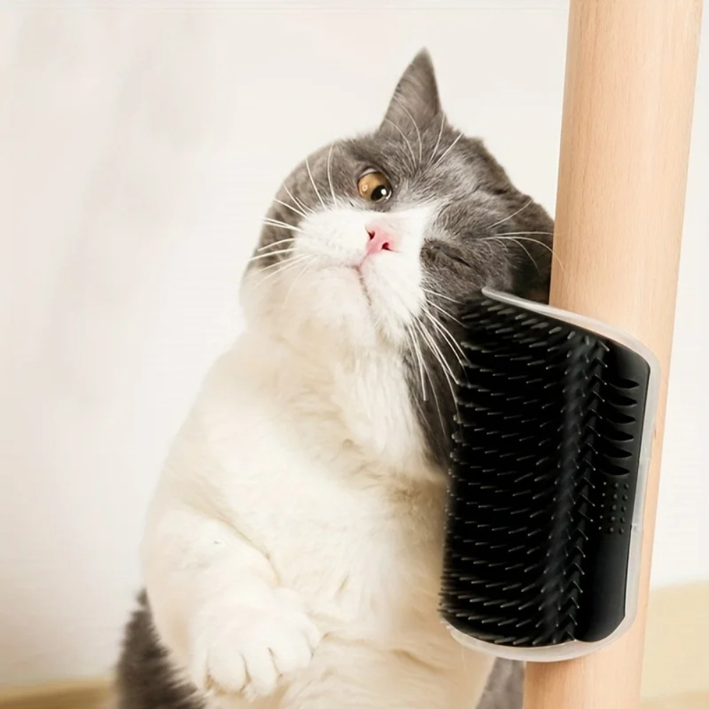 Wall-Mounted Cat Brush | Self-Grooming & Massage Brush for Cats