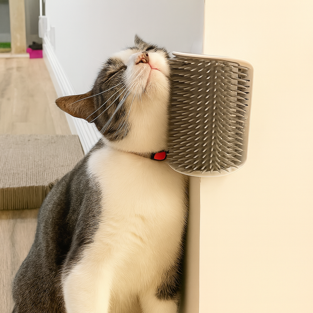 Wall-Mounted Cat Brush | Self-Grooming & Massage Brush for Cats
