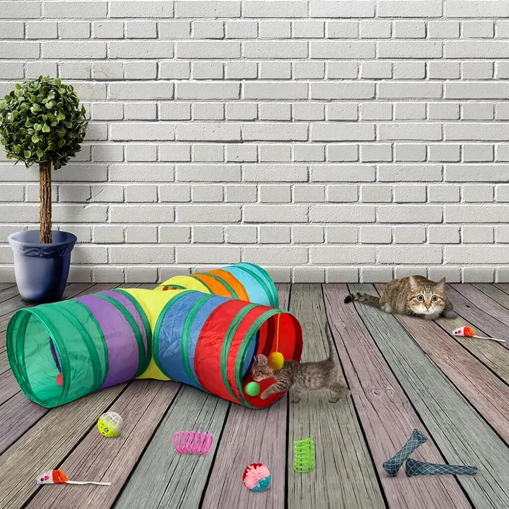 Interactive Cat Toy Bundle | 12-Piece Interactive Cat Toy Set for Indoor Cats – Hunting, Exercise & Daily Play