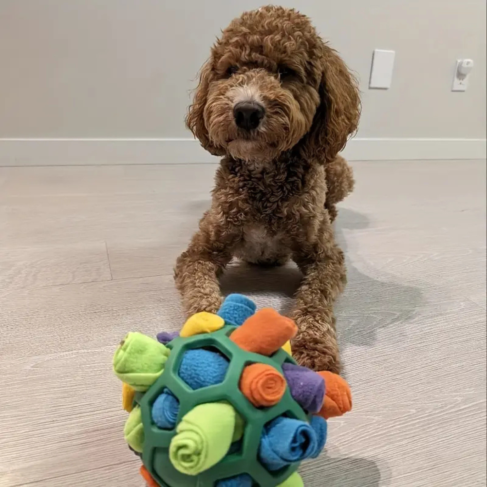 Treat Dispensing Dog Ball | Interactive Puzzle Toy for Dogs with Treat Release & Mental Stimulation