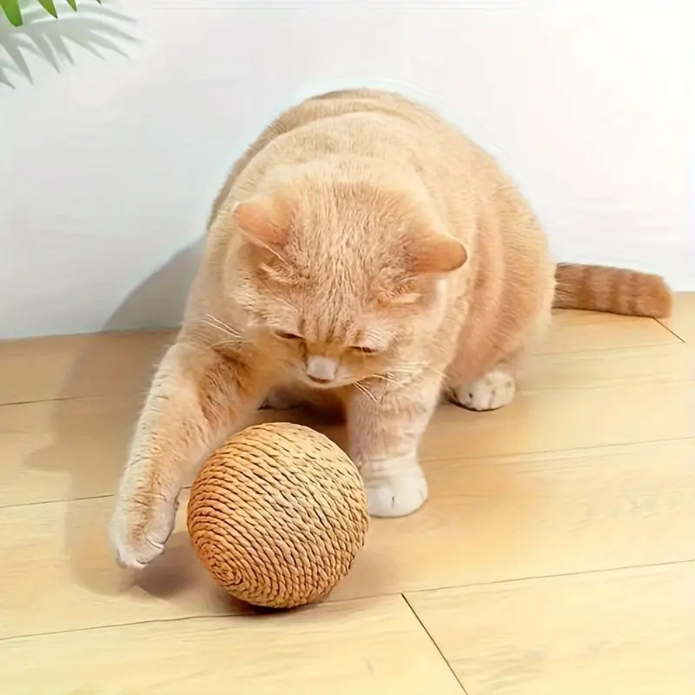 Interactive Cat Scratch Toy | Stress Relief Scratching Ball for Cats – Interactive Play & Daily Stimulation