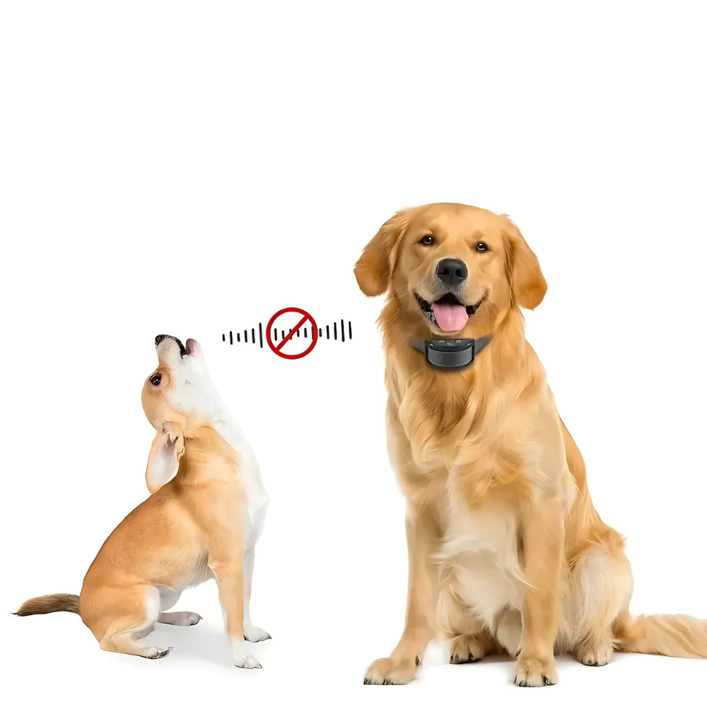Vibration Training Collar for Dogs | Automatic Bark Control with Vibration & Sound – Rechargeable No Shock Collar