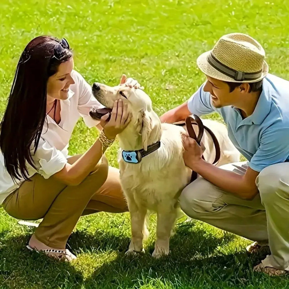 Gentle Bark Control Collar for Dogs | Automatic Bark Detection with Vibration & Sound – Rechargeable No Shock Collar